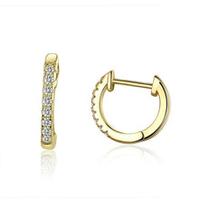 Load image into Gallery viewer, Antique Circle Hoop Earrings