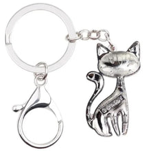 Load image into Gallery viewer, Cat Look Keyring